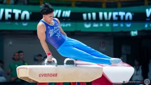 serie a1 sfe00330 copia ph simone ferraro